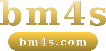 bm4s logo